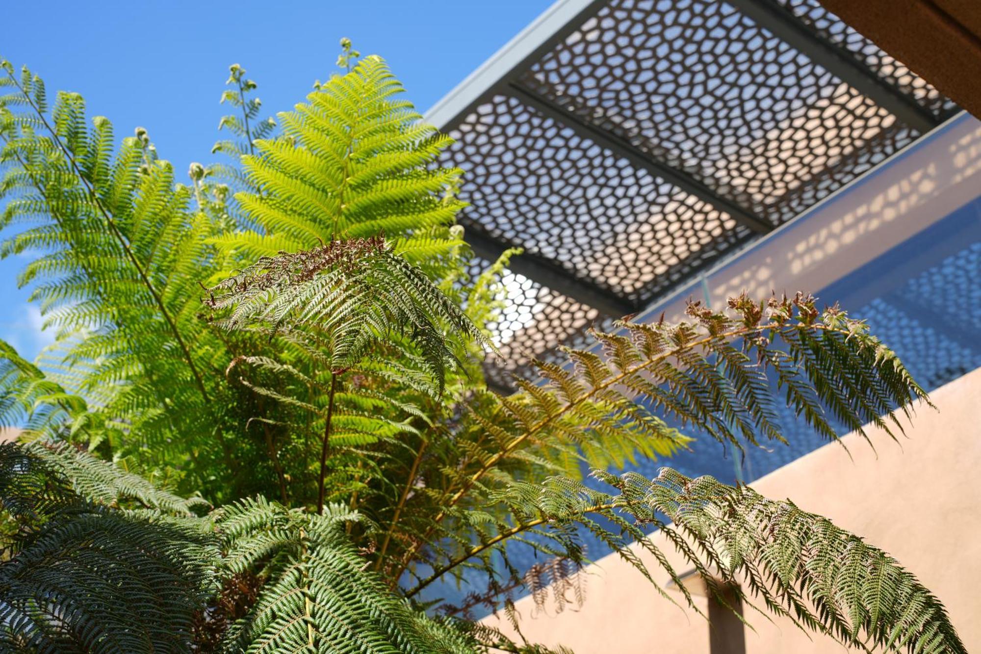 Les Regalia Hotel & Spa Sainte-Lucie de Porto-Vecchio Ngoại thất bức ảnh